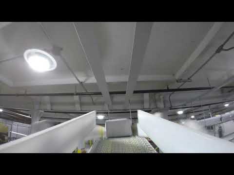 Elevated System from a Bird's Eye View
