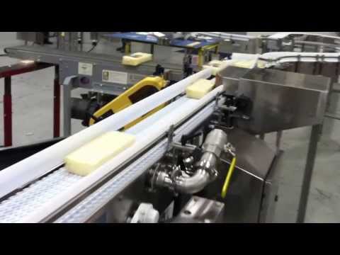 'Super' Sanitary Cheese Conveyor