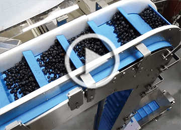 vertical flight conveyor for fresh food