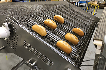 Dinner rolls going down wire belt "dump conveyor" for bakery rejects Dinner rolls going down wire belt "dump conveyor" for bakery rejects