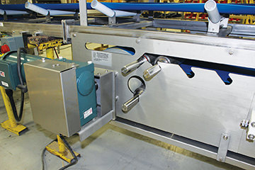 conveyor with removable rollers