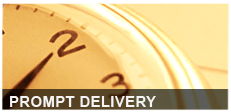 Prompt-Delivery